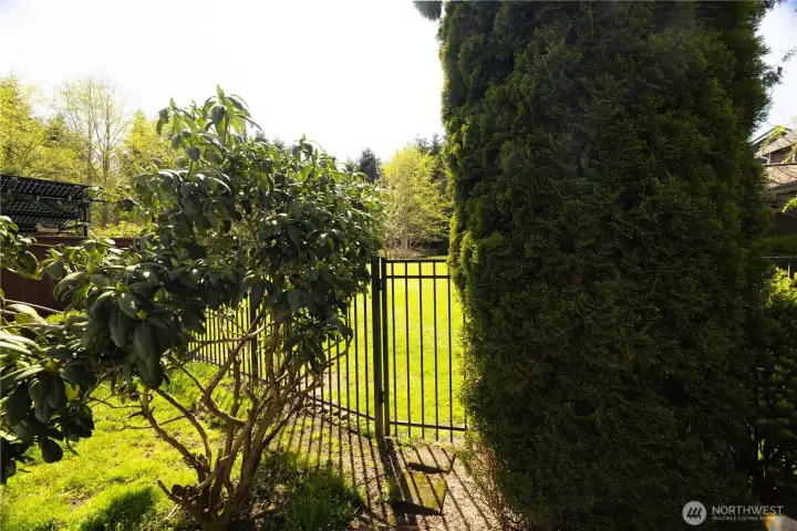 Back yard with gardens, fence and a gate that leads to the surrounding common area green space.