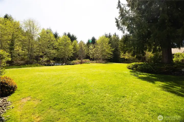 Gorgeous adjacent common area green space with this grassy lawn surrounded by seasonally changing woodlands and Sakai Park with trails next door.