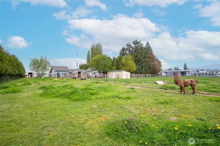 Have you noticed that there are no close neighbors???