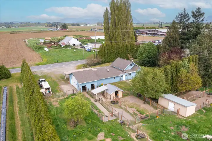 You can see the 5 stalls and runs and also have views of the Canadian range and foothills.