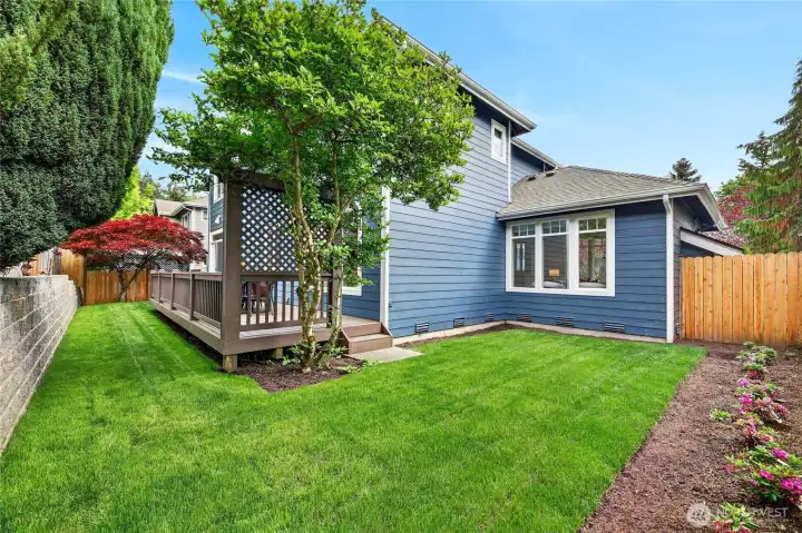 Fully fenced back yard.