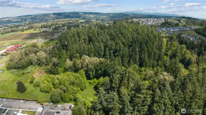 East-facing views of property, neighboring Farm 12, Crystal Ridge, Sumner East-facing views of property, neighboring Farm 12, Crystal Ridge, Sumner