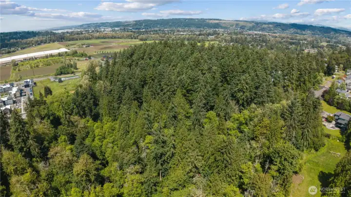 First time offered in over 170 years! This is the last remaining "Ridge" available for development in this area - you better hurry! First time offered in over 170 years! This is the last remaining "Ridge" available for development in this area - you better hurry!