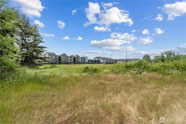 West-facing view from lower land West-facing view from lower land