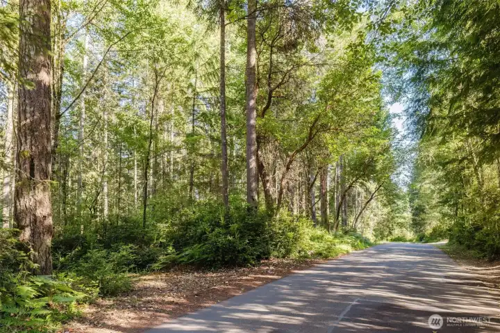 Privacy abounds on this quiet drive and million dollar homes line both sides of the street. Privacy abounds on this quiet drive and million dollar homes line both sides of the street.