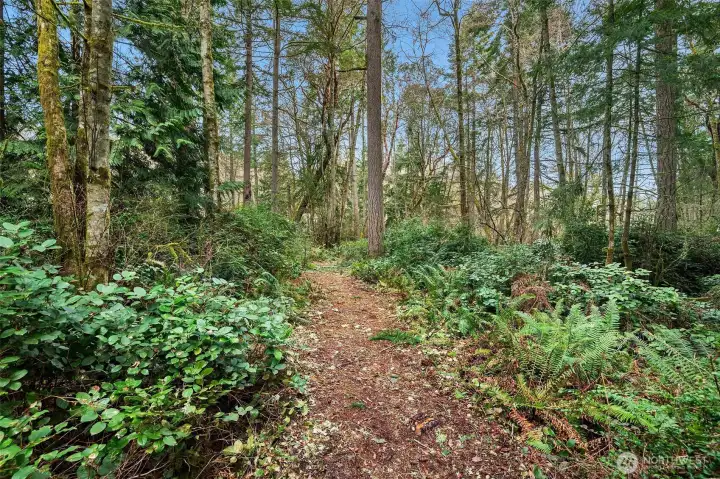 Beautifully cleared, winding trail with access from SW 250th Way.