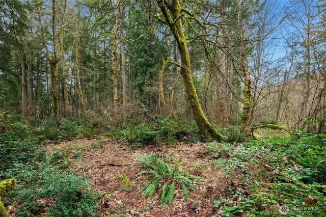 Several glades are available for your development dreams.