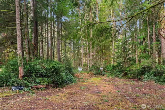 Recorded easement for access from 250th way - my white real estate sign in the middle of this photo is on a corner of the subject property.