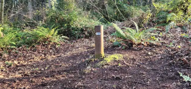 Follow the trail from SW 250th Way to the clearing where the well head is located.