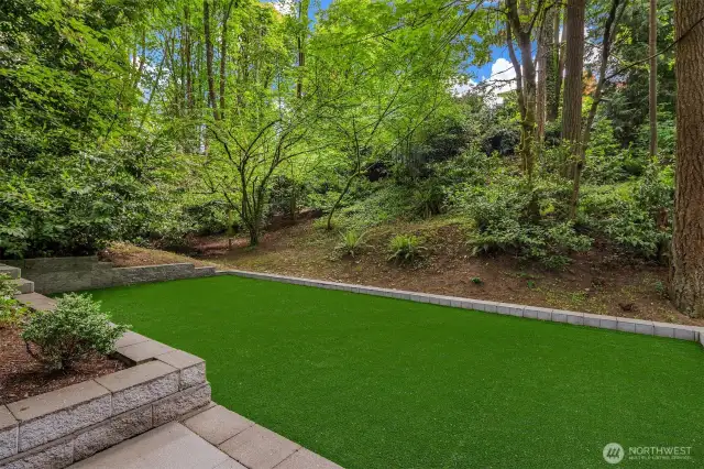 Turf yard ready for play!