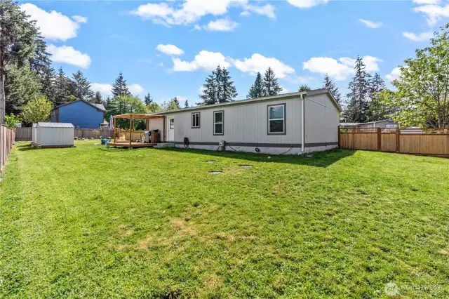 Large back yard!