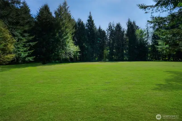 Great setting