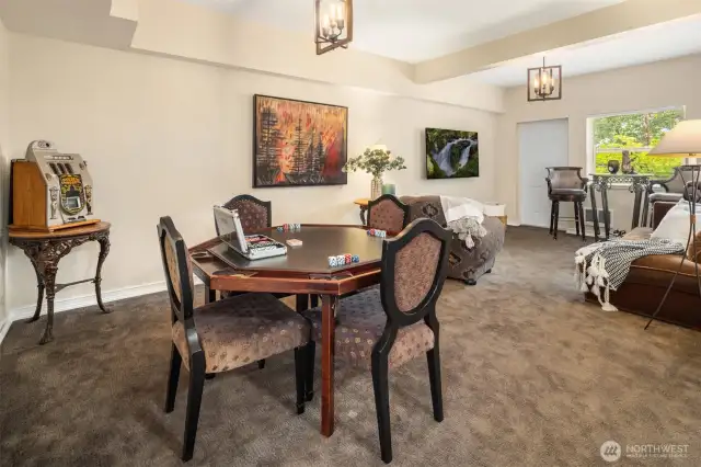 Lower Level ADU with tall ceilings, large living room, kitchen and separate washer/dryer