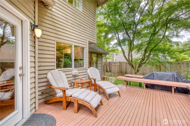 First view of the amazing deck off the back.