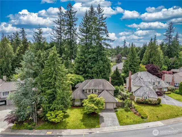 The perfect setting! Desirable neighborhood!