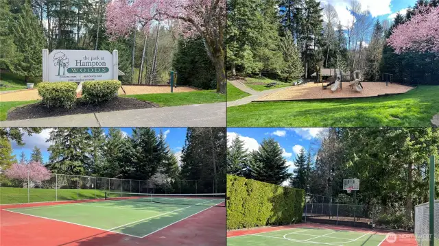 Community park!