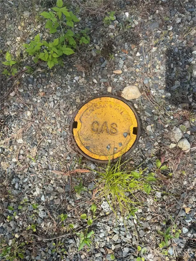 Gas available on street.