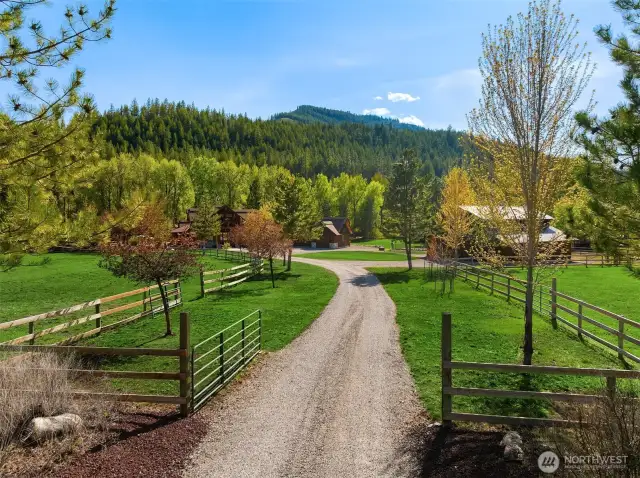 Beautiful tree lined drive greets guests