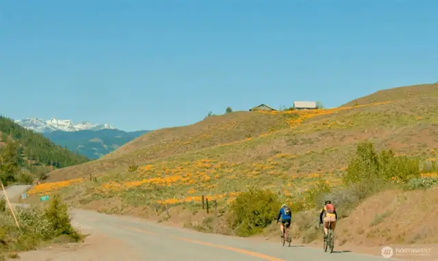 Scenic bike route along Twisp River Road