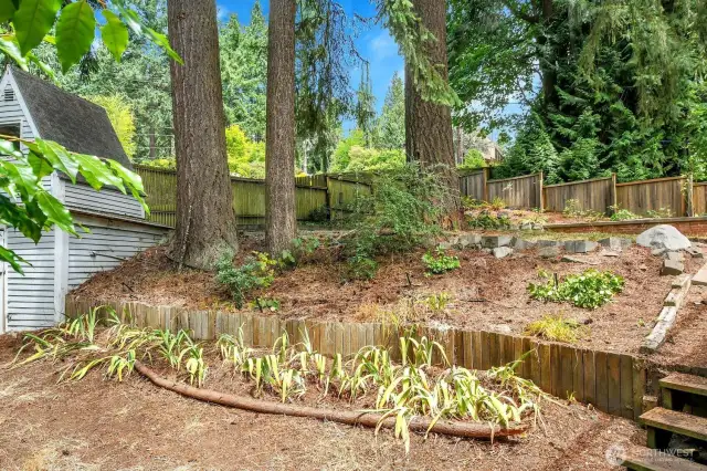 Fully fenced and abutting green space, this backyard is a Certified Backyard Wildlife Sanctuary. Watch deer, rabbits, woodpeckers and owls from your kitchen window!