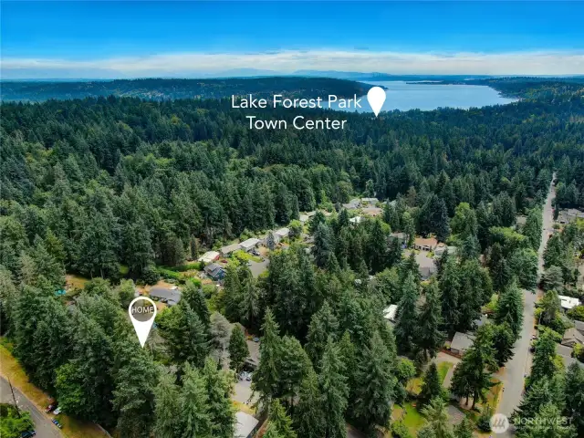 This private retreat is only 5 minutes from LFP Town Center or Lake Washington and 20 minutes from downtown Seattle or Redmond.