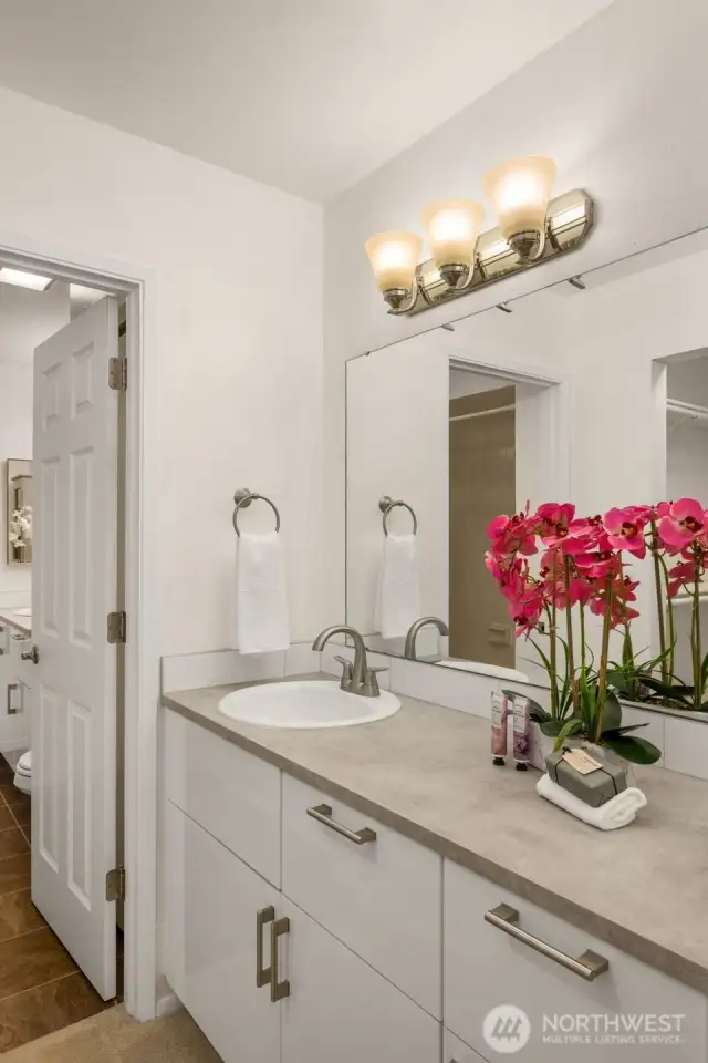 Full bathroom and bonus sink!
