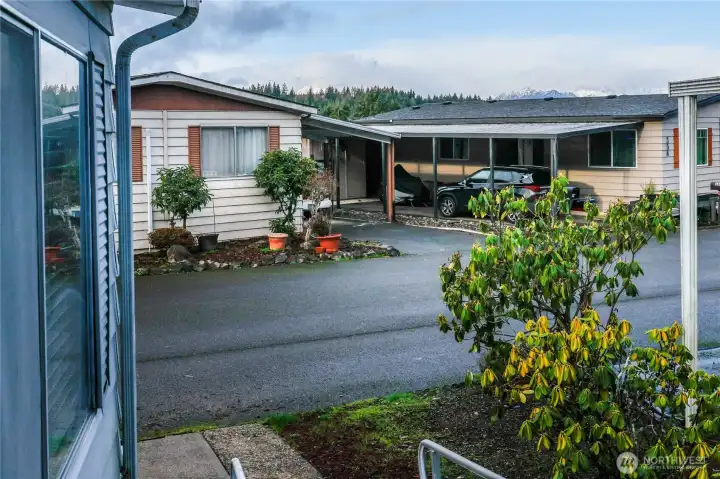 View from front porch.