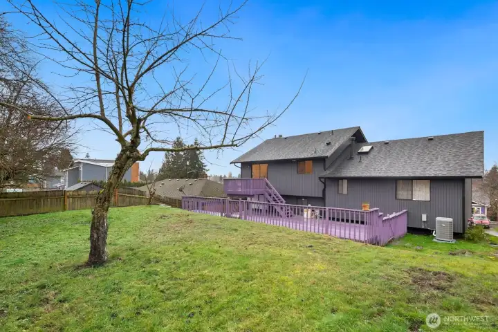 Large lot has development potential and fruit trees