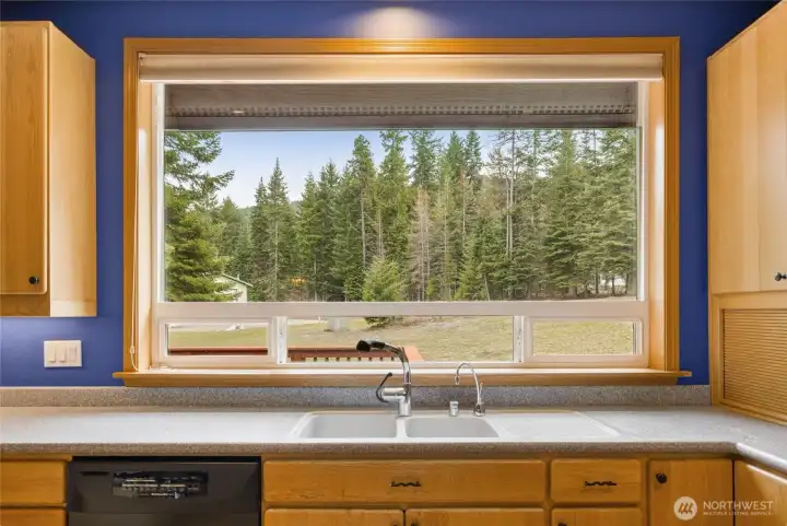 My favorite window in the house is this huge picture window over the kitchen sink. Enjoy watching the deer, turkey, & elk walk by.