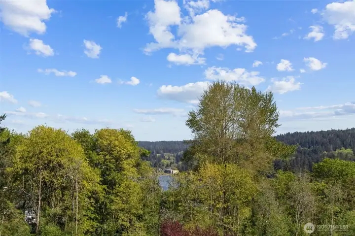 Beautiful view from the main living area and deck. Even better in winter!