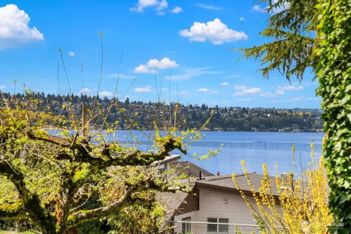 View to the Southwest