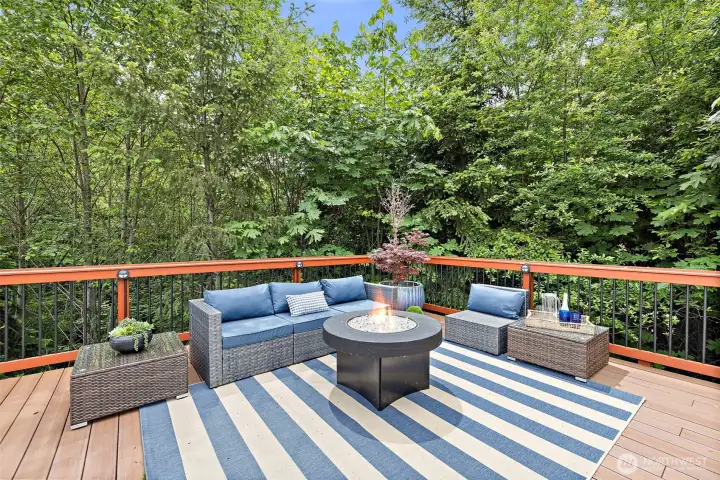 Private outdoor entertainment space