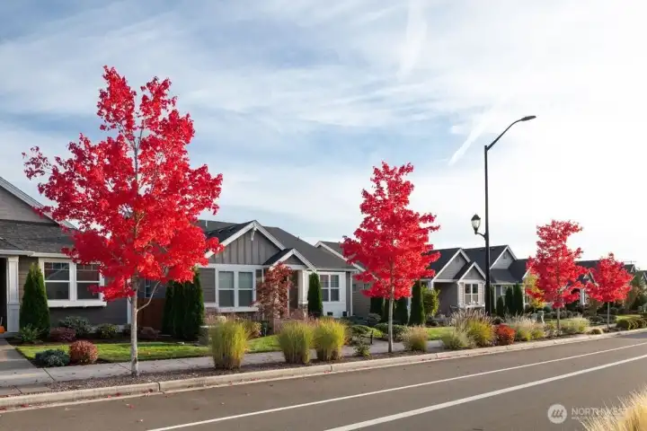 Ovation at Oak Tree Community
