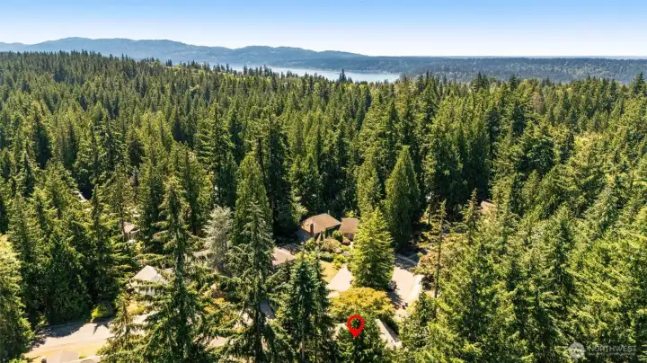 View of Lake Sammamish in the distance. View of Lake Sammamish in the distance.