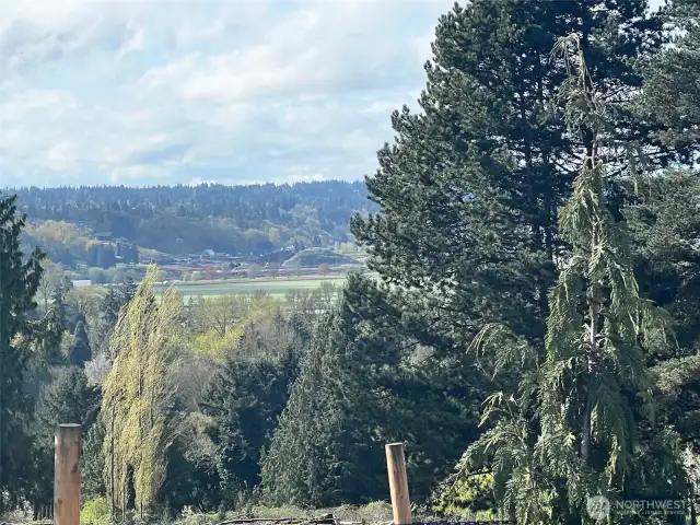 VIEWS! VIEWS! VIEWS!