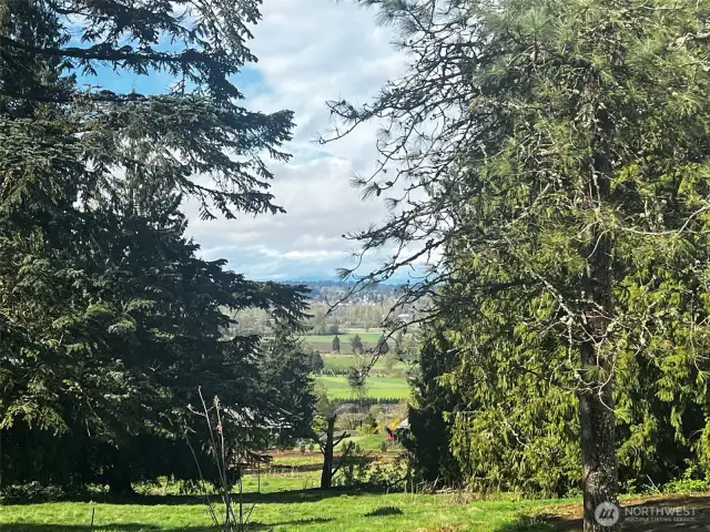 Mt Baker, Snohomish River & Valley View!