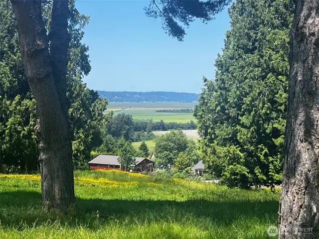 More Valley Views!