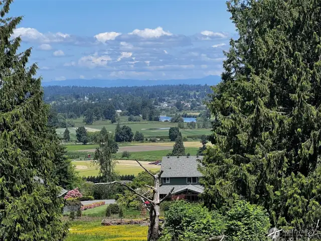 The Snohomish River sparkles in the sun!