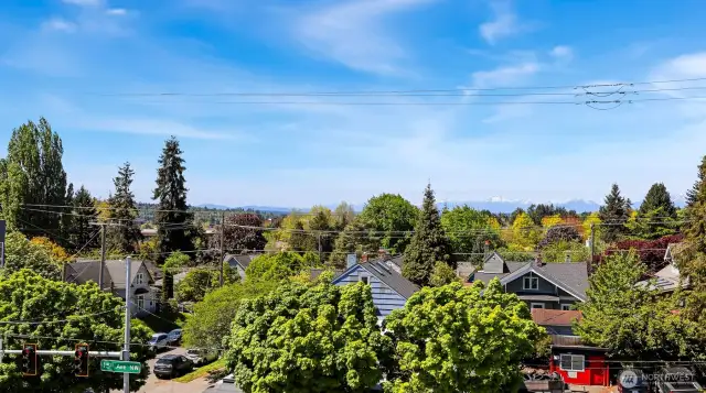 West facing ivew from roof top deck of Olympic Mountain range.