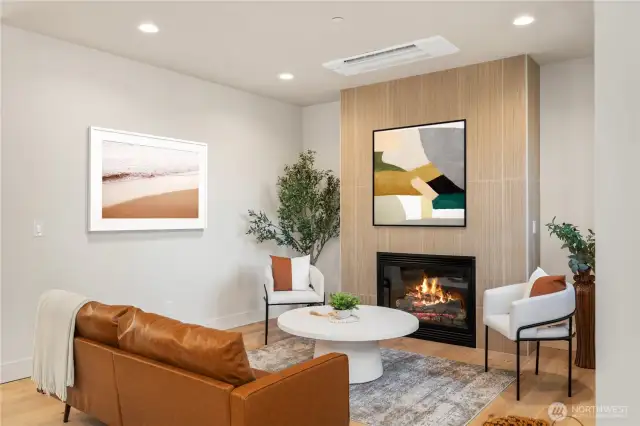 Gas fireplace