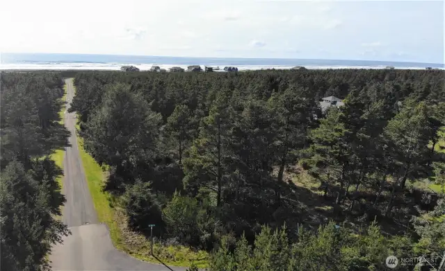 Ultimate beach escape parcel... 1 of just 6 sharing acres of woods.
