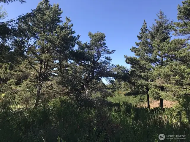Ideal Setting