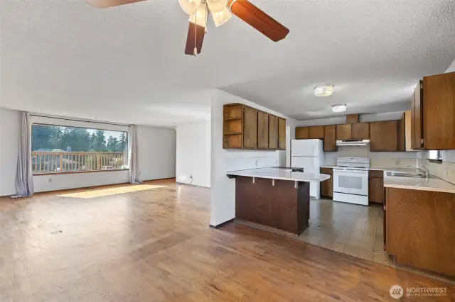Living/Dining/Kitchen
