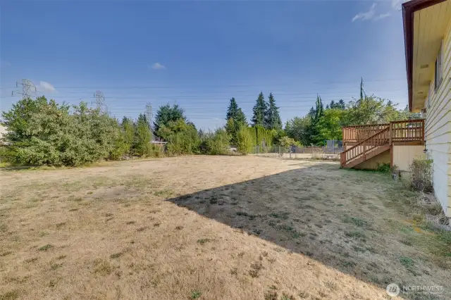 Back Yard