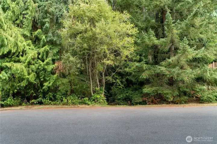 Trail leads you into the property