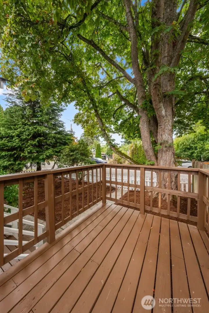 Patio, View of Street