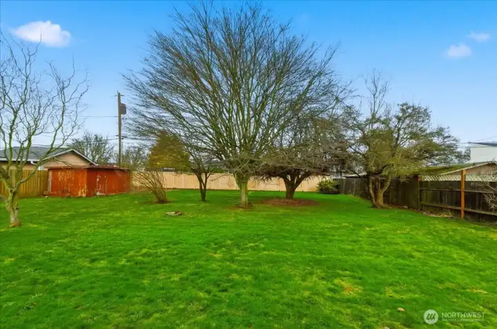 Large, Fenced Backyard with Shed/Outbuilding