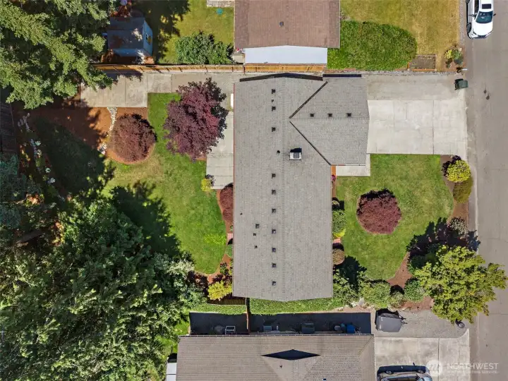 What a great shot showing all the colors  and lines of the landscaping  and patios. The back yard does have shady too if you want to get out of the sun. It's all here!