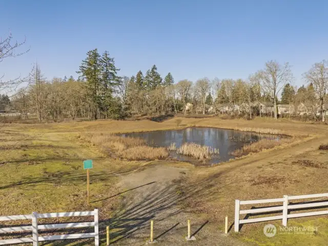 Neighborhood pond across from house w/ walking trails