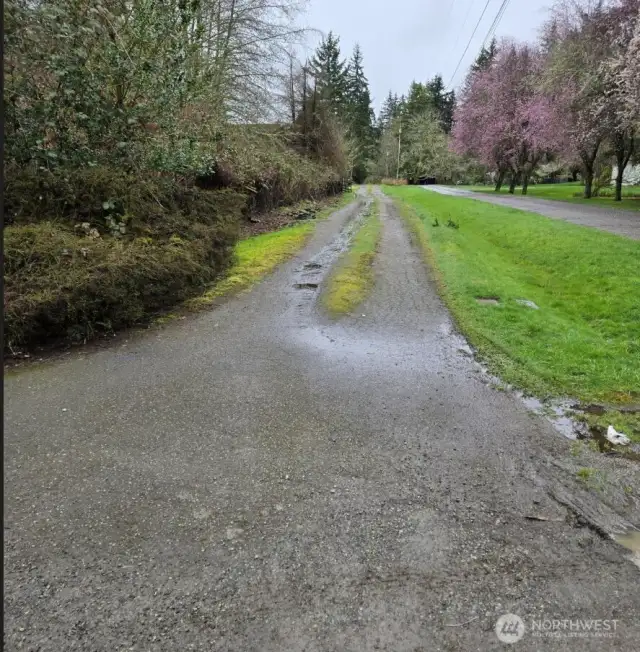 This is the road that leads to the property